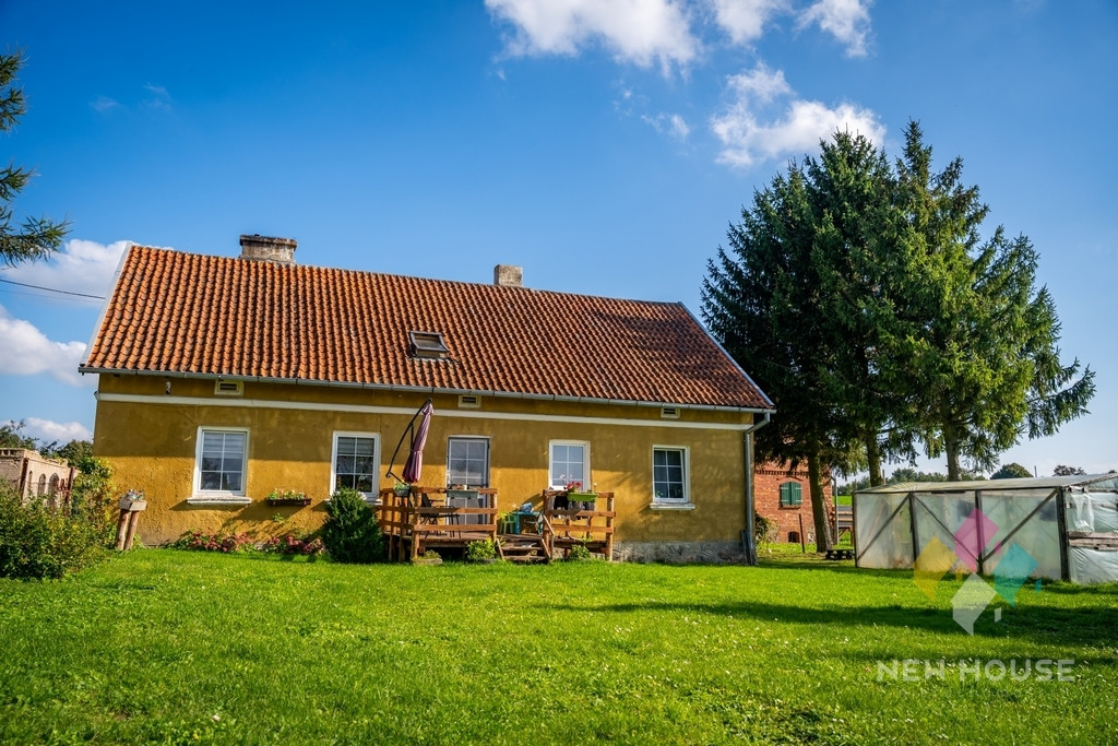 Niepowtarzalne siedlisko na półwyspie jez. Gawlik - Widok 5