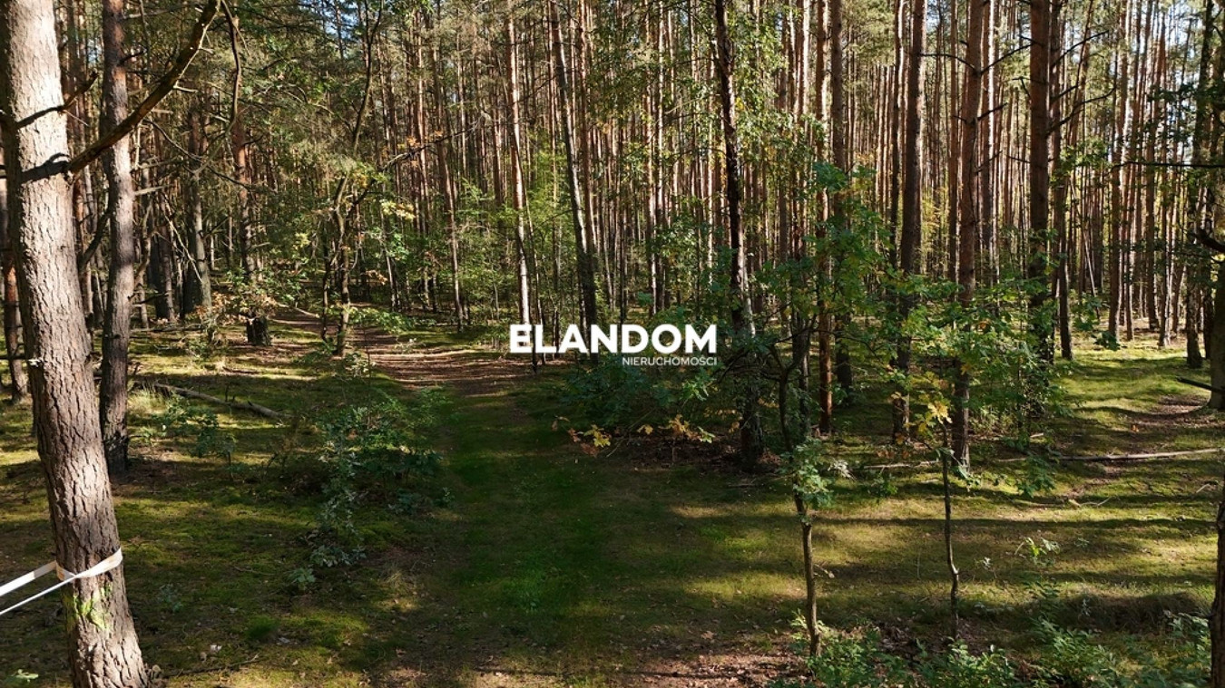 Józefów, 3440 m² | 2 działki budowlane + dojazd - Widok 3