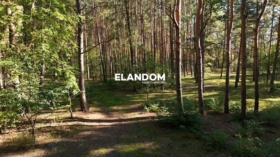 Józefów, 3440 m² | 2 działki budowlane + dojazd - Widok 4