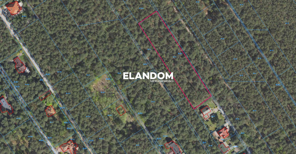 Józefów, 2433 m², własny Las Sosnowy, cisza - Widok 2