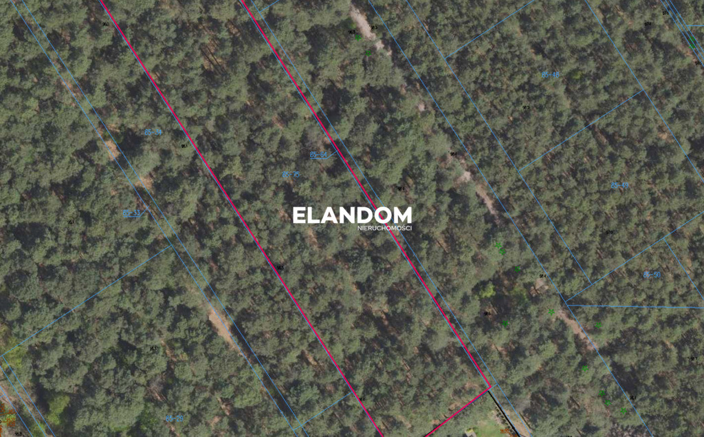 Józefów, 2433 m², własny Las Sosnowy, cisza - Widok 3