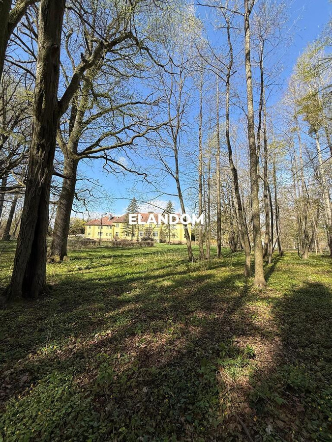 Pałac w Rudziszkach - Widok 3