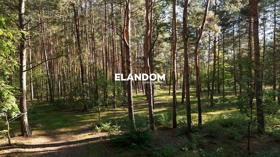 Józefów, 3440 m² | 2 działki budowlane + dojazd - Widok 5