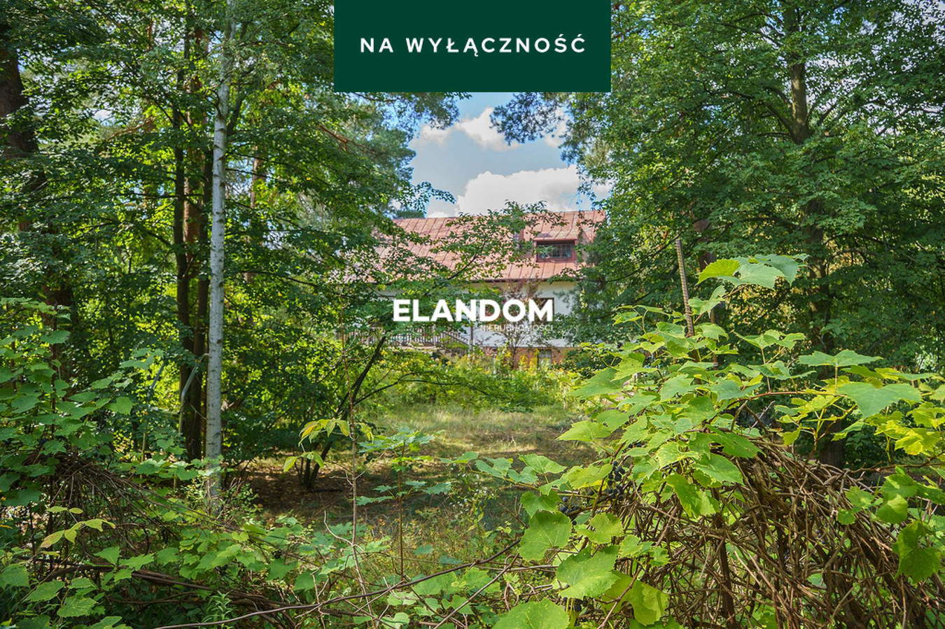Dom – Józefów - Widok 5