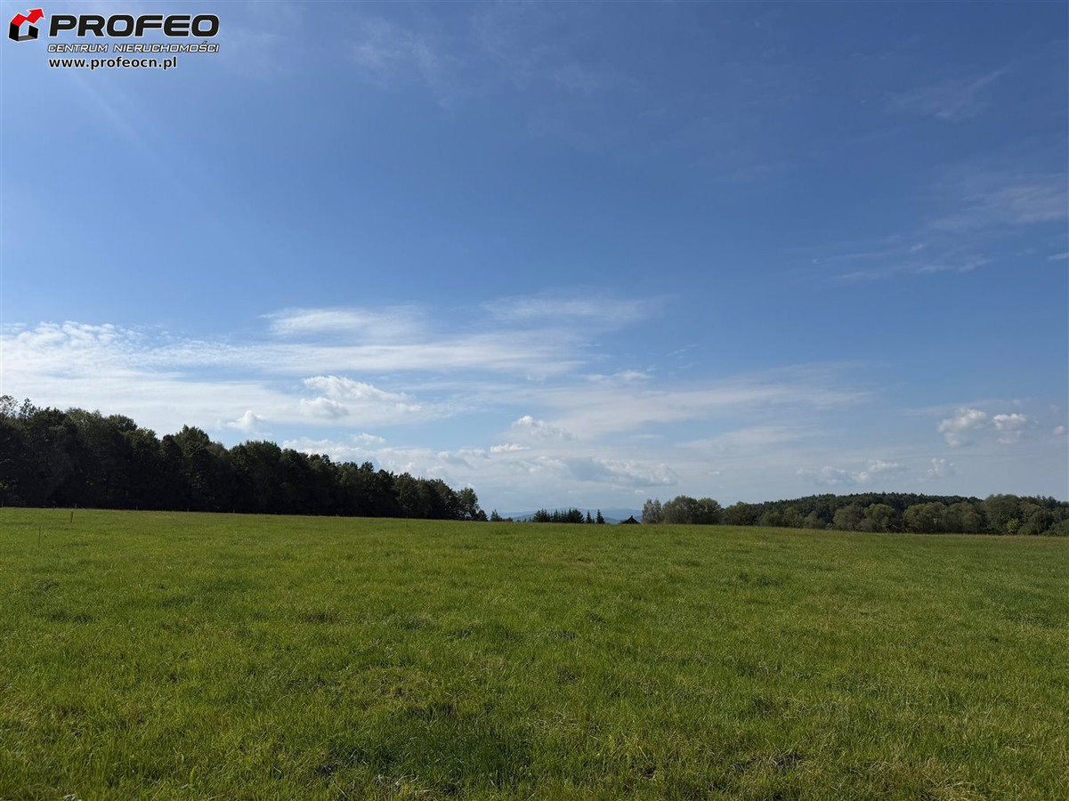 Widokowa 10 arów - Widok 4