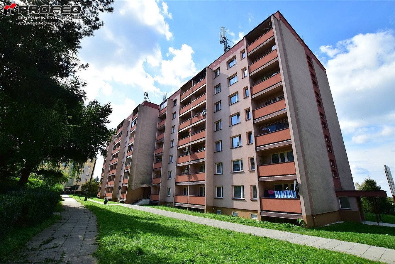 gratka-PCN-MW-13215