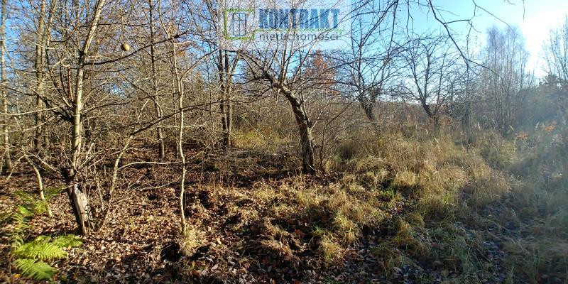 Oferta dla dewelopera - Widok 5