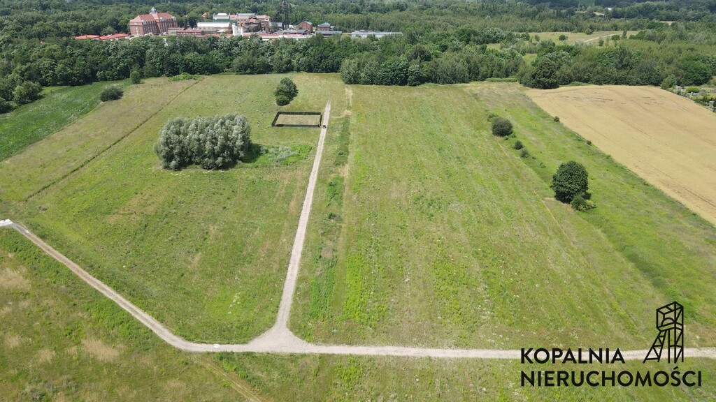 Akrakcyjne działki Zabrze Kasprowicza - Widok 3
