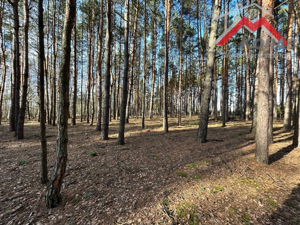 Land, 2700 m²