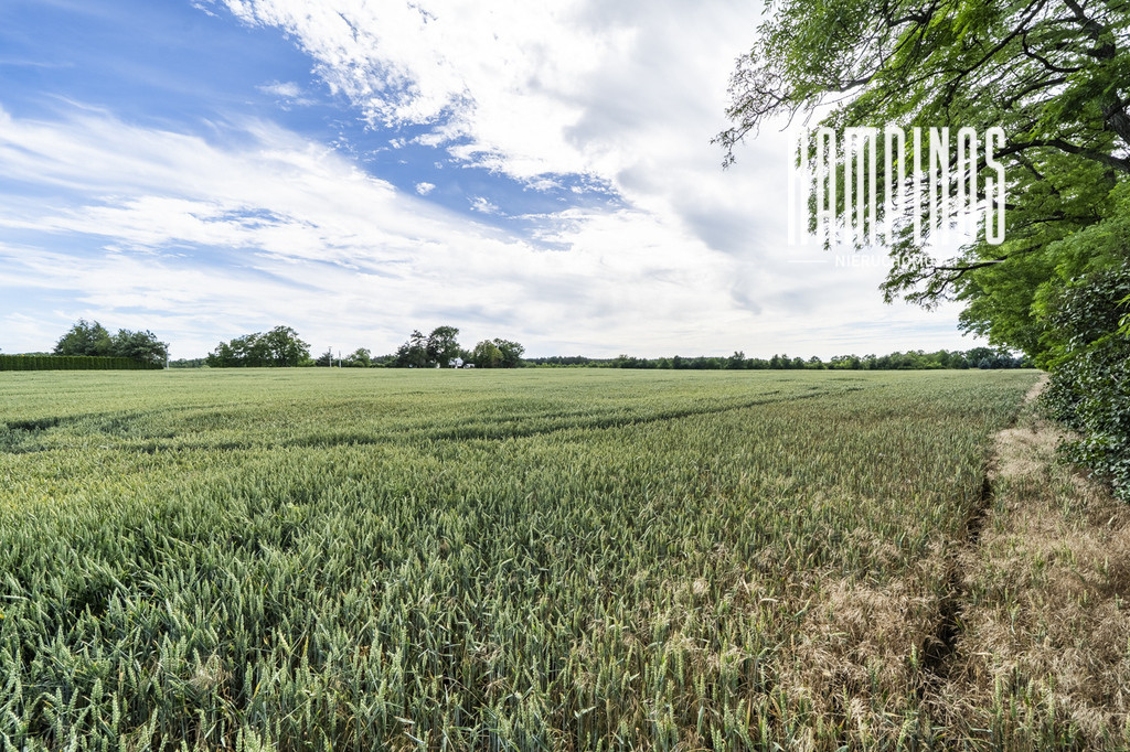 Atrakcyjna działka z WZ – Prusy, Kampinos - Widok 5