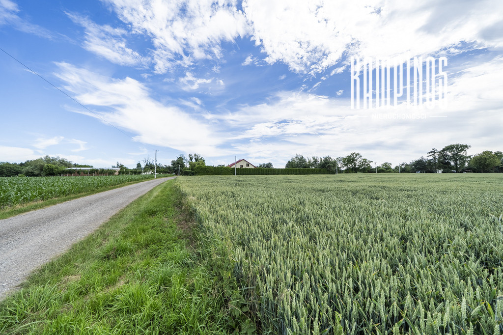Atrakcyjna działka z WZ – Prusy, Kampinos - Widok 2