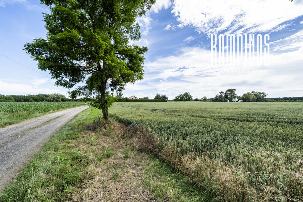 Atrakcyjna działka z WZ – Prusy, Kampinos - Widok 4