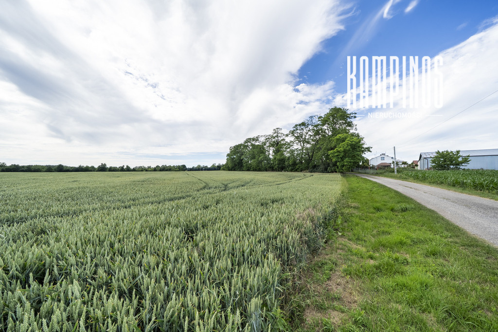 Atrakcyjna działka z WZ – Prusy, Kampinos - Widok 3