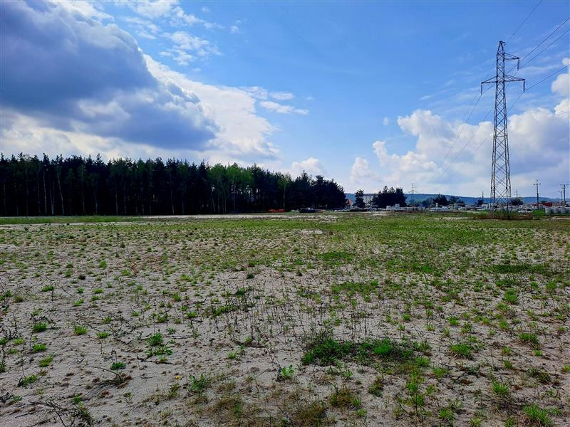 Grund, 10600 m²