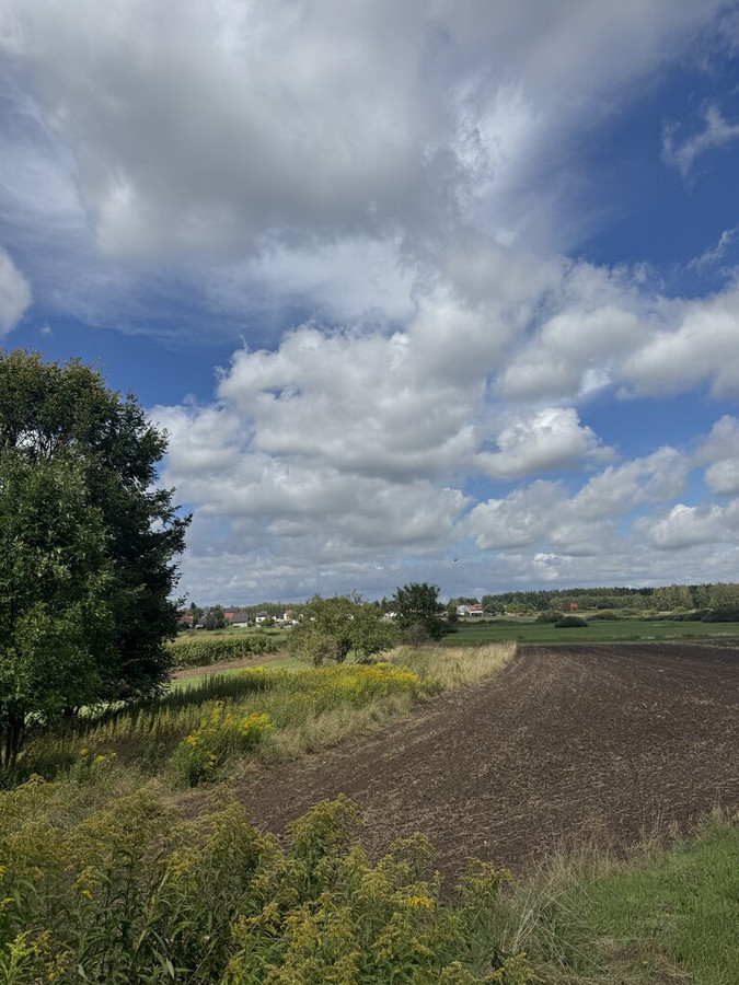 Staniątki działka rolna pod lasem - Widok 3