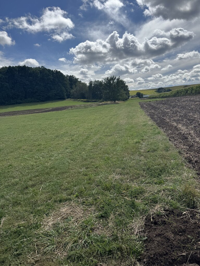 Staniątki działka rolna pod lasem - Widok 5