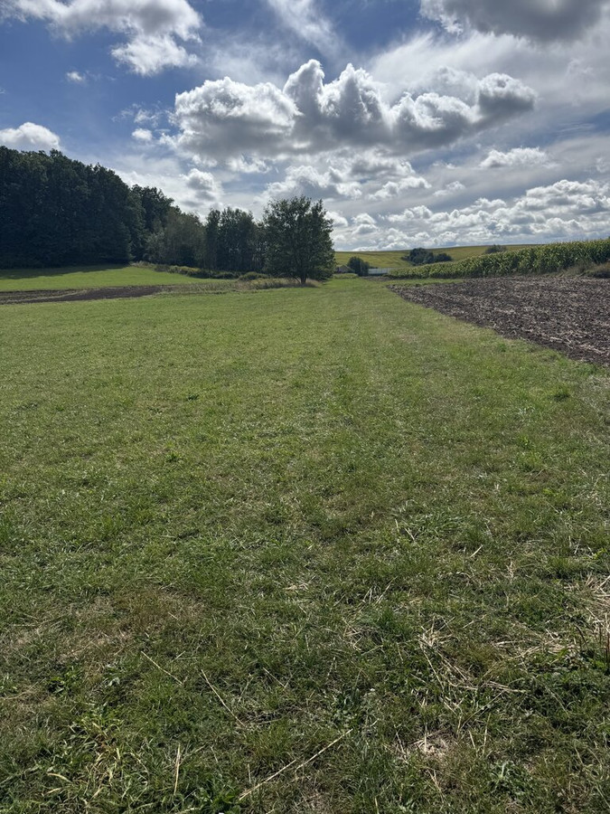Staniątki działka rolna pod lasem - Widok 4