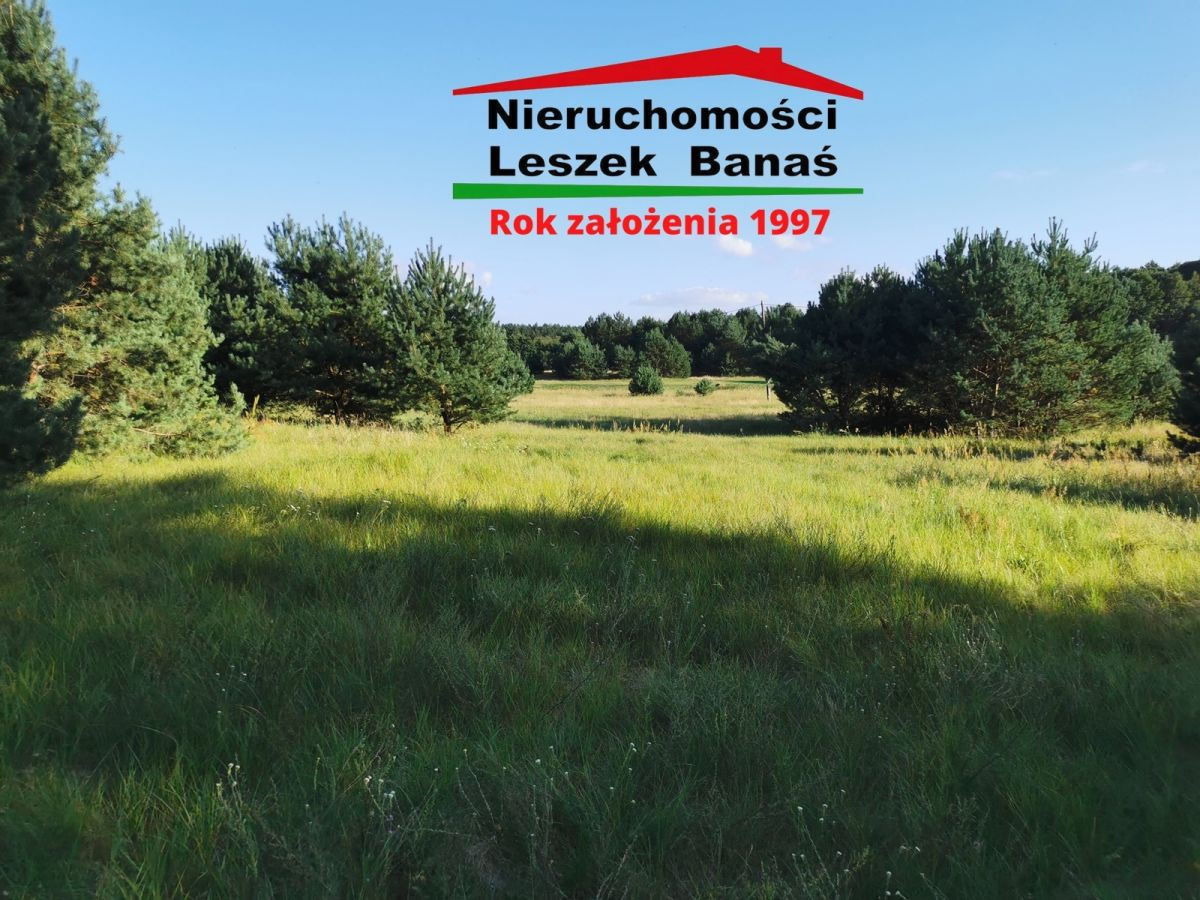 Działka granicząca z lasem - Widok 4