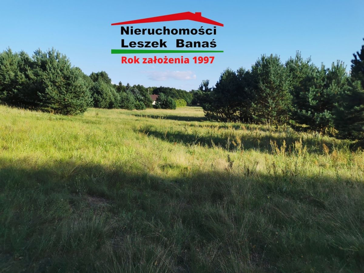 Działka granicząca z lasem - Widok 5