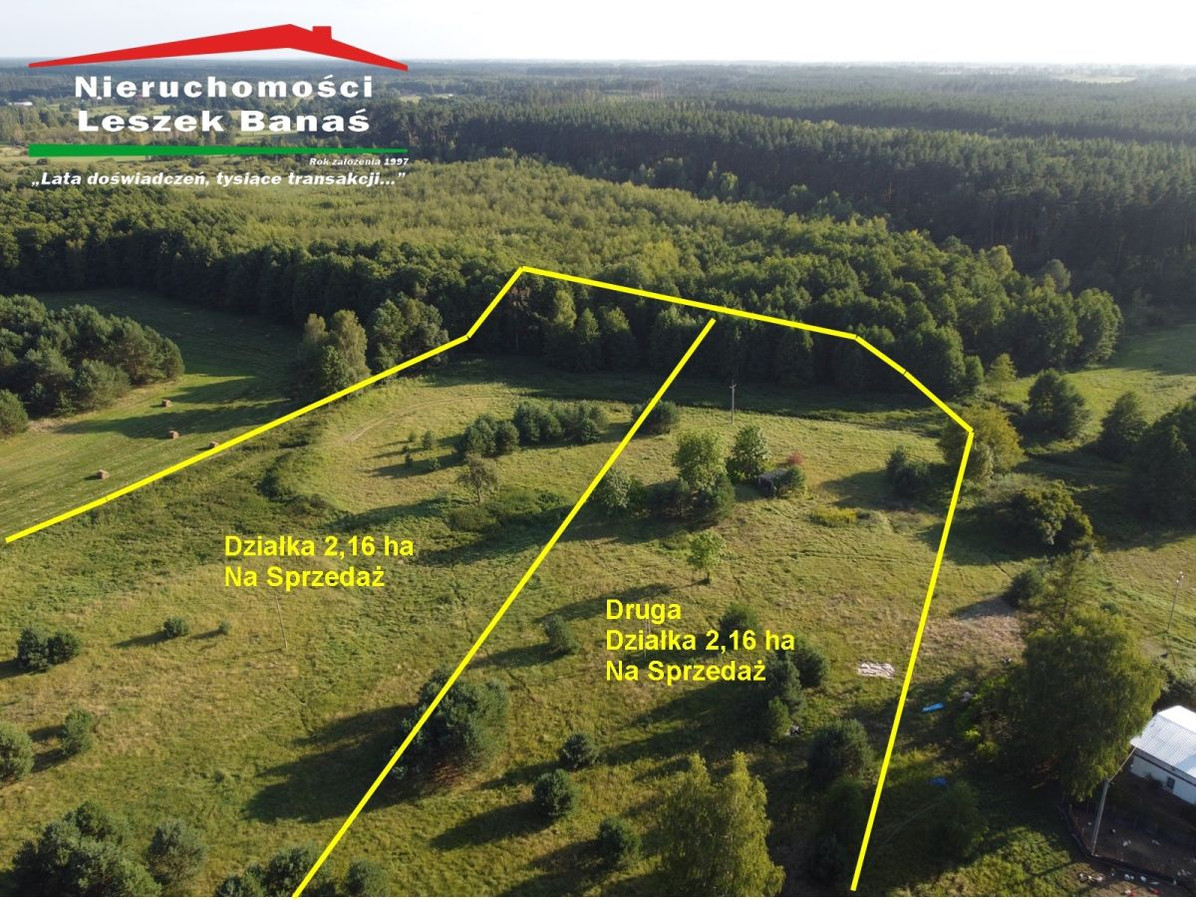 Działka granicząca z lasem - Widok 3