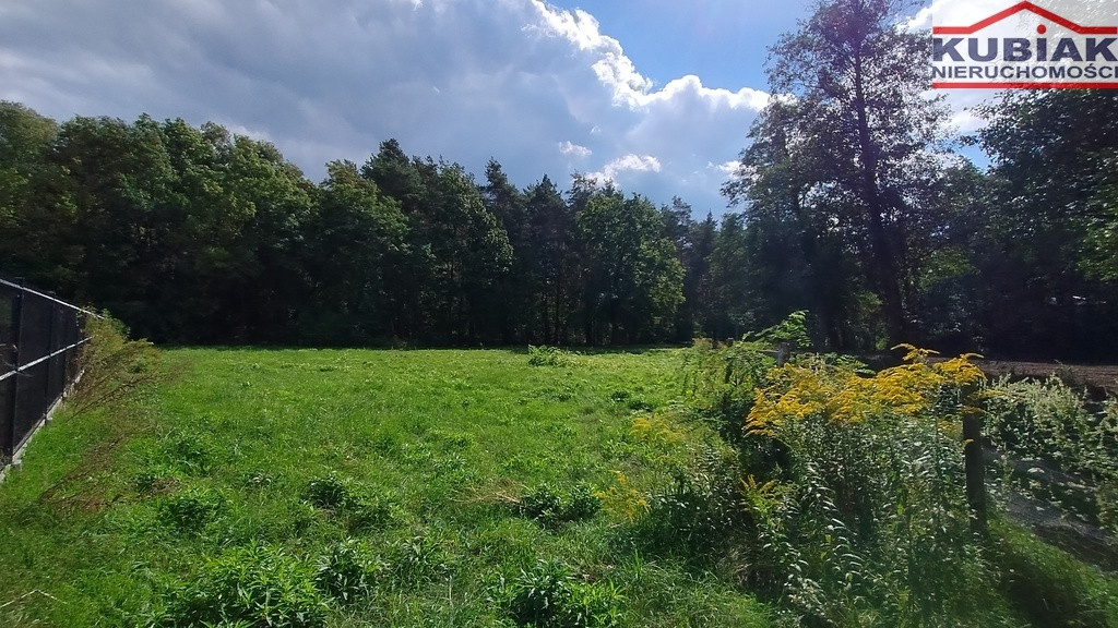 Dla stroniących od zgiełku, przy lesie - Widok 5