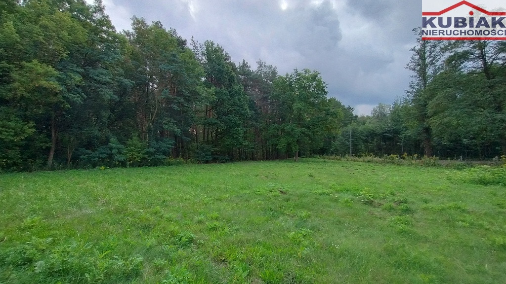 Dla stroniących od zgiełku, przy lesie - Widok 2