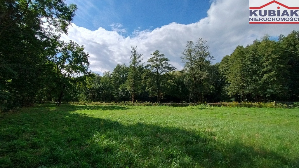 Dla stroniących od zgiełku, przy lesie - Widok 3