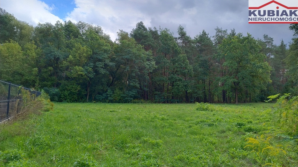 Dla stroniących od zgiełku, przy lesie - Widok 4