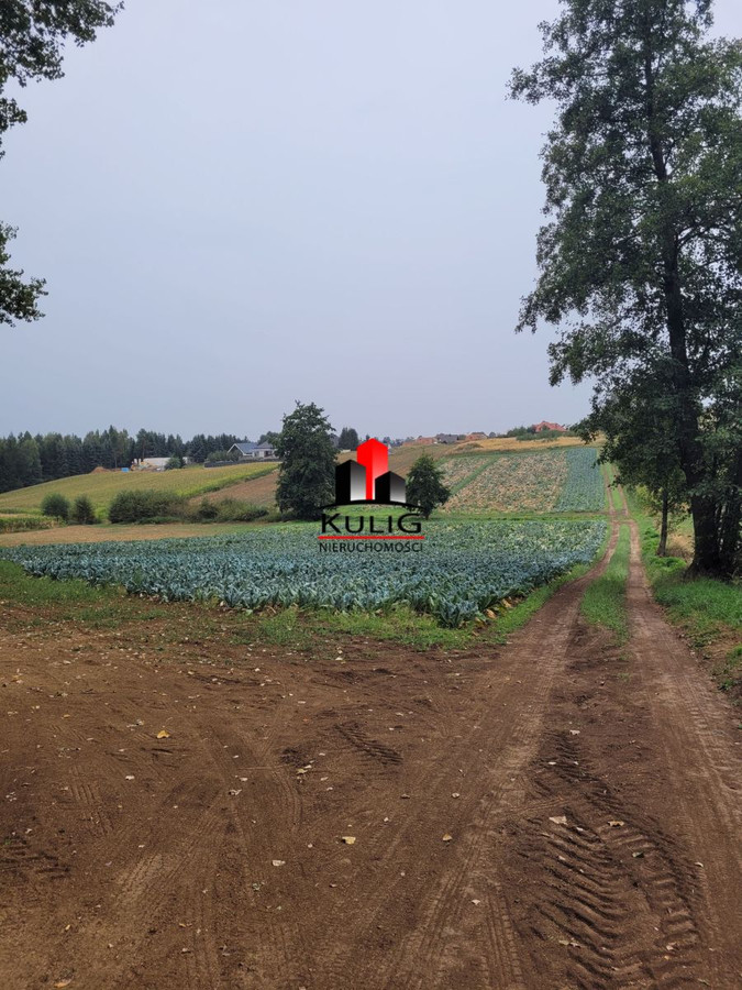 Kocmyrzów Luborzyca działka budowlana 8 ar - Widok 2