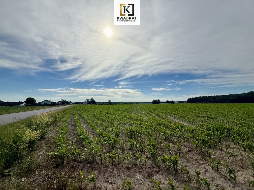 Działki z WZ 1000 m² – tylko 59 000 zł - Widok 3