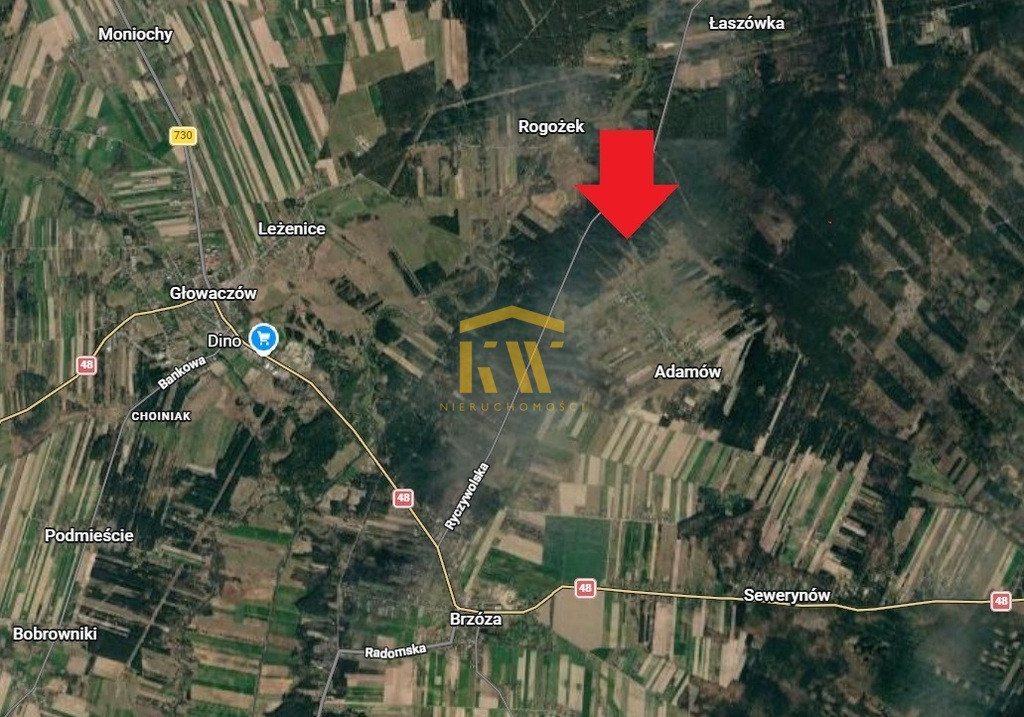 Kozienice Głowaczów Brzóza Adamów działki 5,2 ha - Widok 3