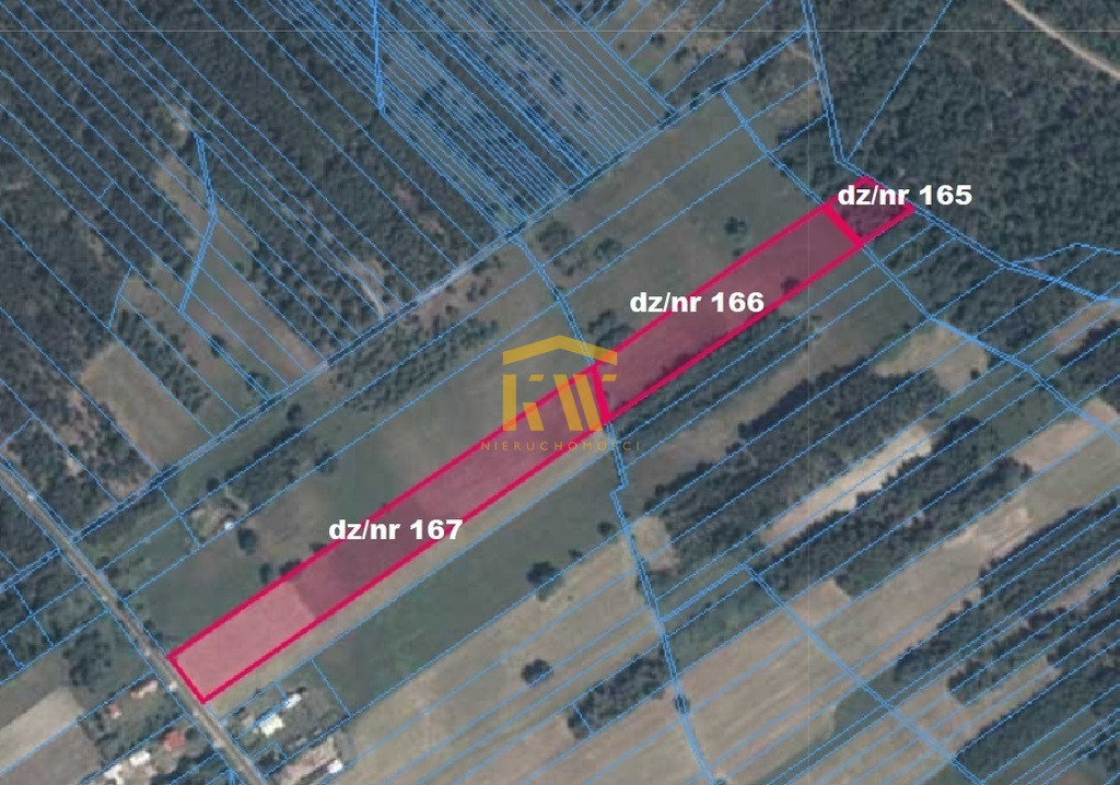 Kozienice Głowaczów Brzóza Adamów działki 5,2 ha - Widok 5
