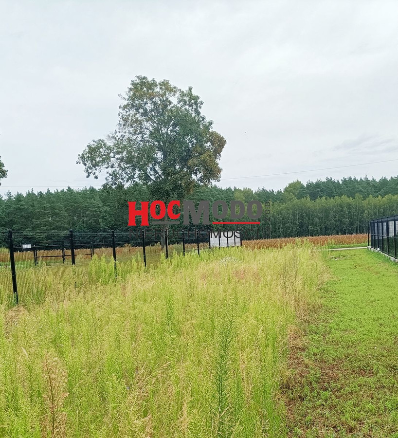 Działka budowlana w Szadkach - gmina Serock - Widok 3