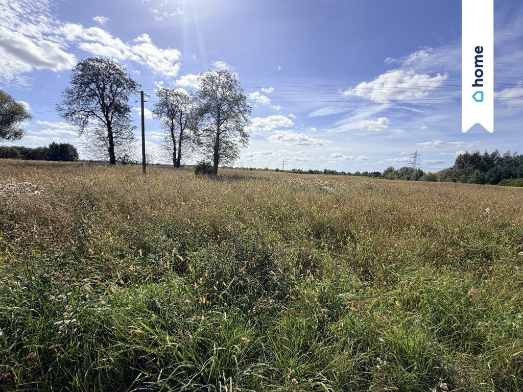 Działka rolna 4,33 ha – Marianów, gm. Chynów - Widok 3