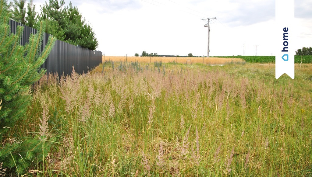 Działka budowlana w Łachowie k. Szubina - Widok 3
