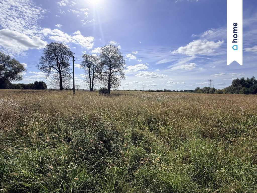 Działka rolna 4,33 ha – Marianów, gm. Chynów - Widok 2