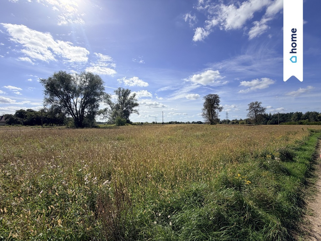 Działka rolna 4,33 ha – Marianów, gm. Chynów - Więcej