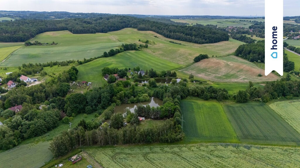 Świerzów, 6683 m² | MPZP, potencjał inwestycyjny - Więcej