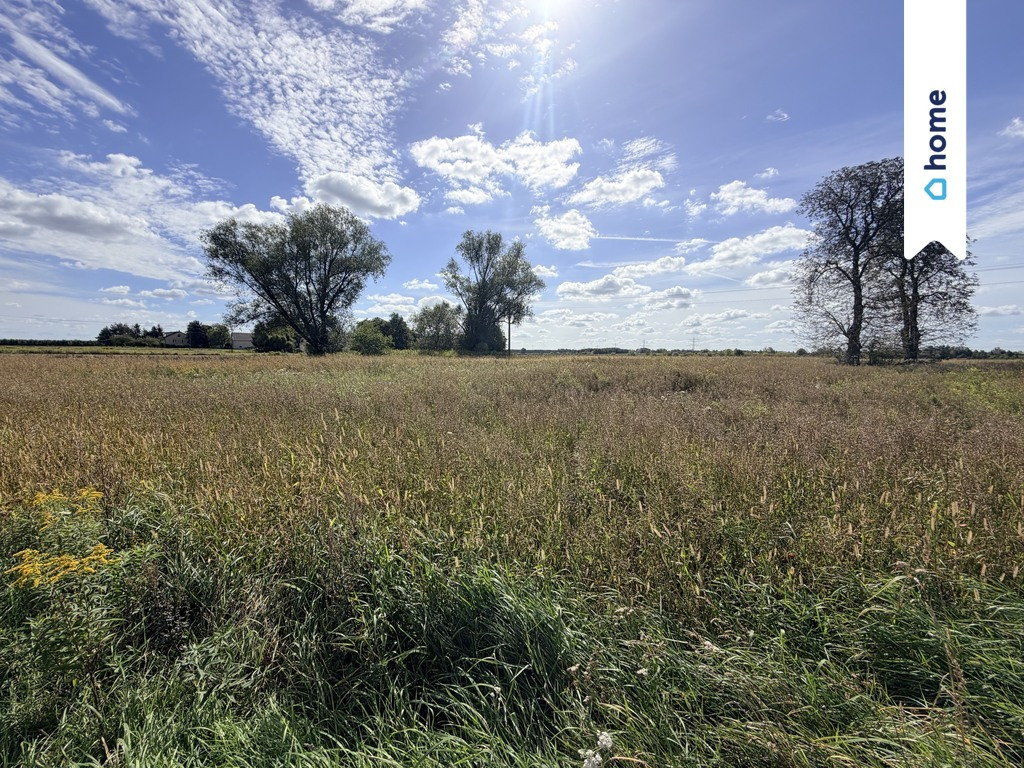 Działka rolna 4,33 ha – Marianów, gm. Chynów - Widok 4