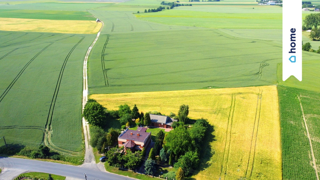 Dom – Łowinek - Widok 5
