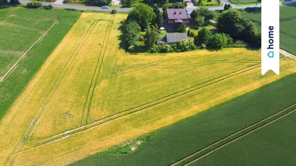 Dom – Łowinek - Widok 3