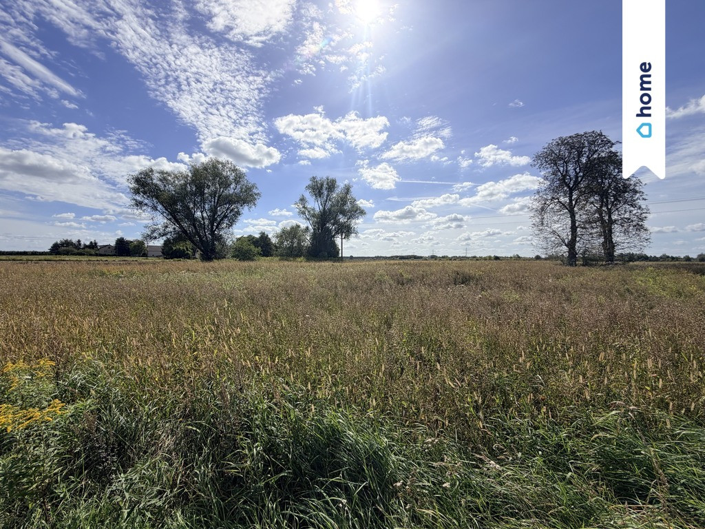 Działka rolna 4,33 ha – Marianów, gm. Chynów - Widok 5