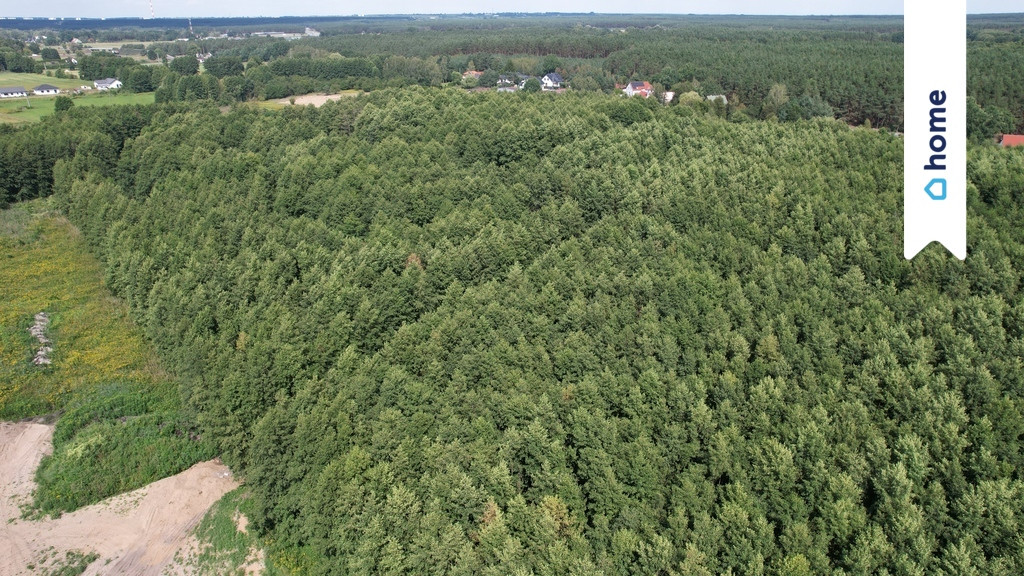Wyjątkowa działka w Kopaninie - wymarzone miejsce - Więcej