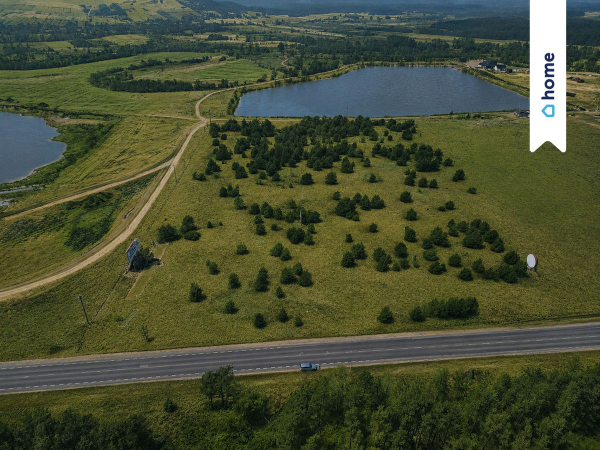 Działka pod magazyn/usługi/produkcja 3,5 ha - Widok 4
