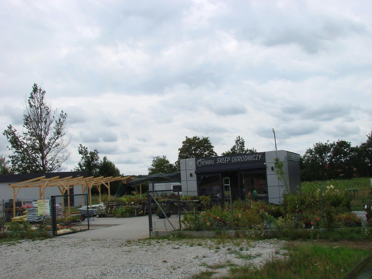 Pawilion ussługowy - działka 1645 m² - Widok 4