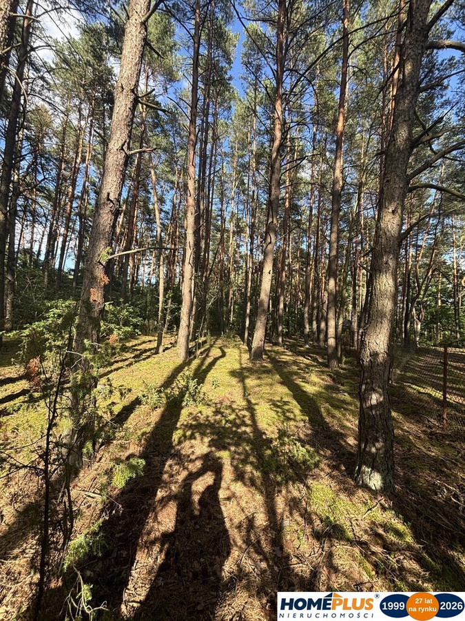 Działka budowlana w lesie, Łosie koło Radzymina - Widok 4