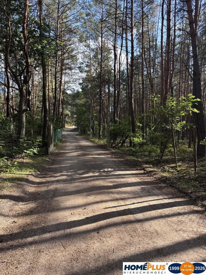 Działka budowlana w lesie, Łosie koło Radzymina - Widok 5