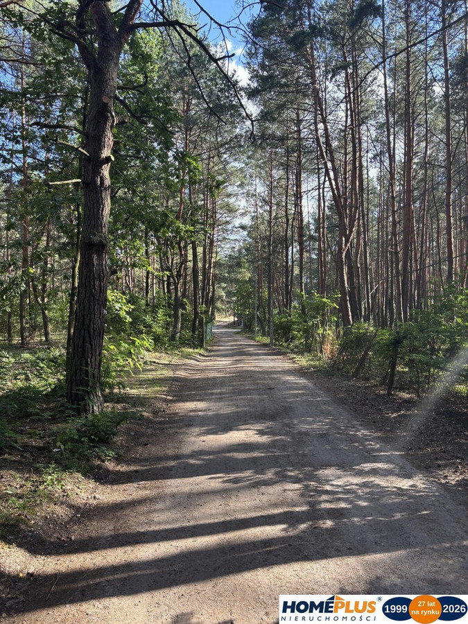 Działka budowlana w lesie, Łosie koło Radzymina - Widok 2