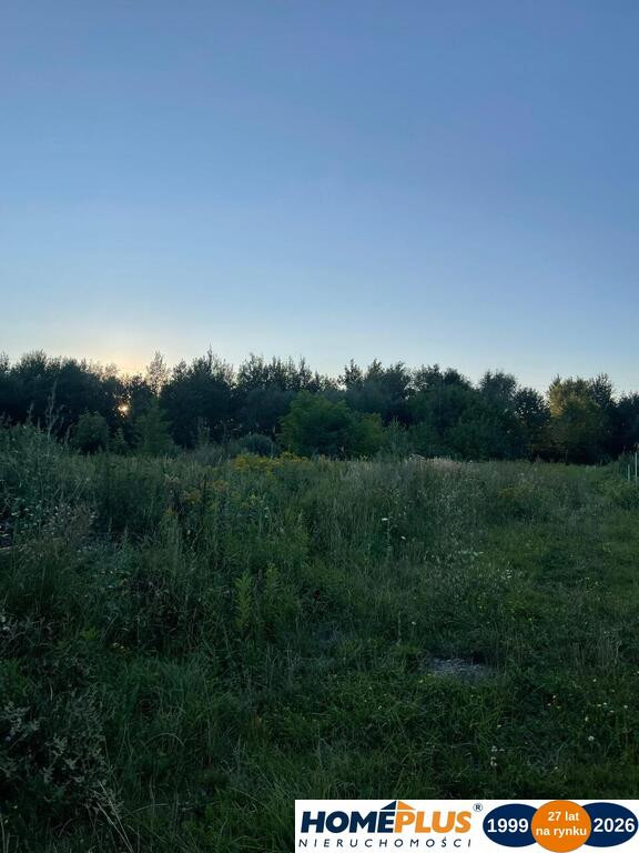 Działka 9339 m² pod dom lub usługi - Widok 4