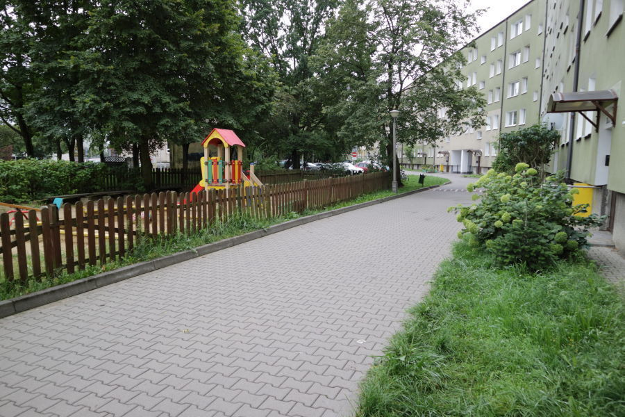 Przyjaźni